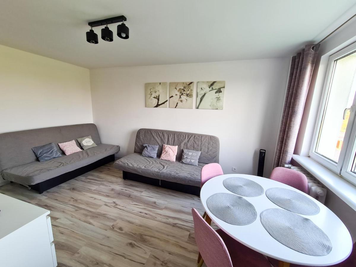 Appartamento Apartament Rycerski Malbork Esterno foto